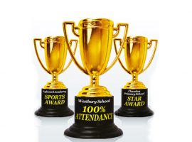 Τριγωνικοί ανιχνευτές